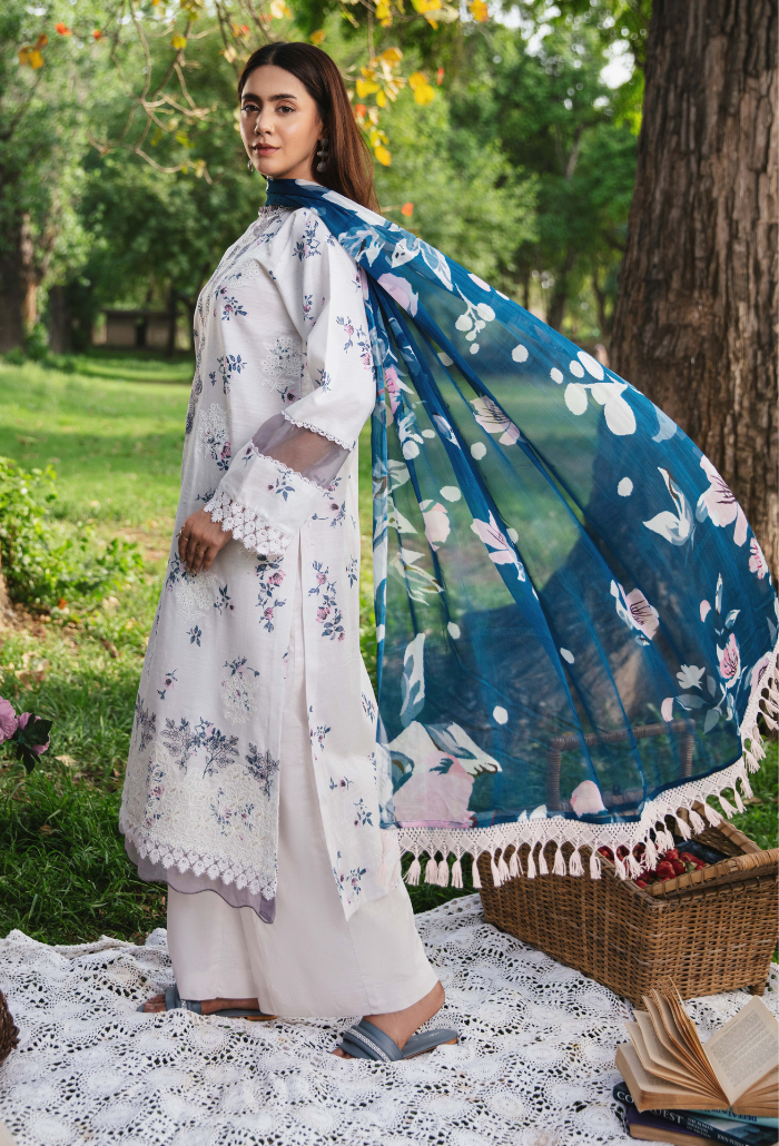 Summer Breeze - D01 Chiffon Pakistani Summer Dresses - Humdum - 2