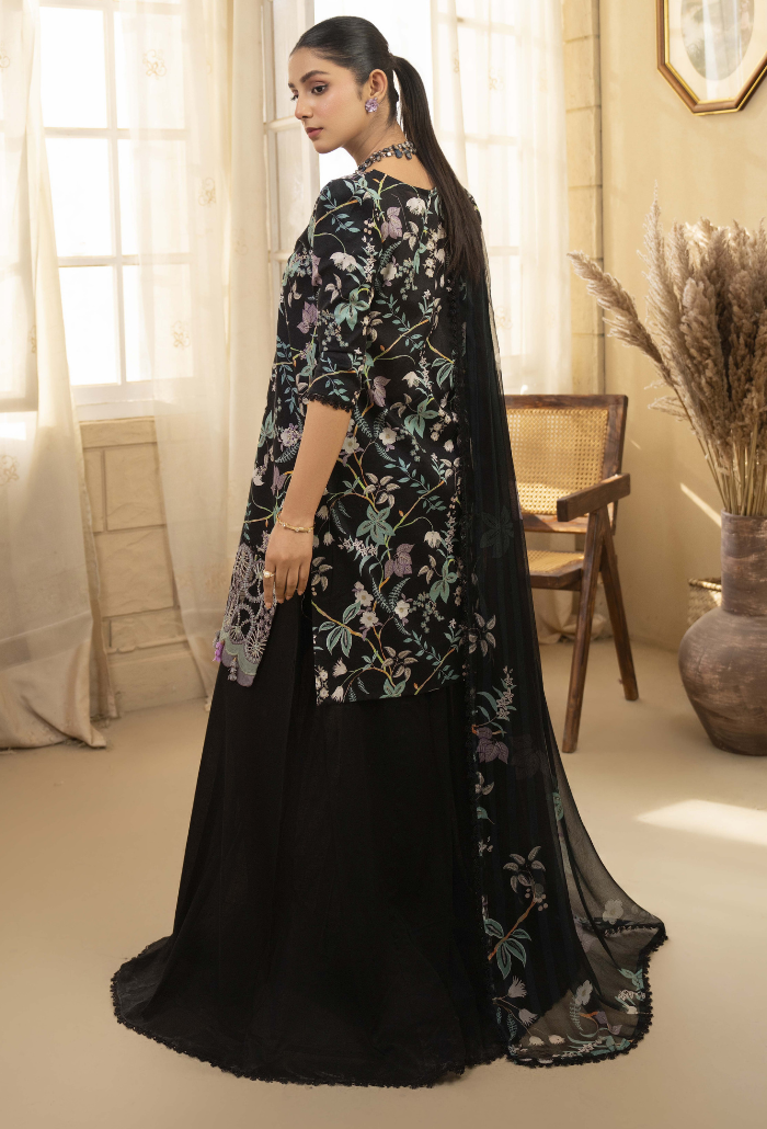 Senora - D02 Chiffon Pakistani Summer Dresses - Humdum - 2