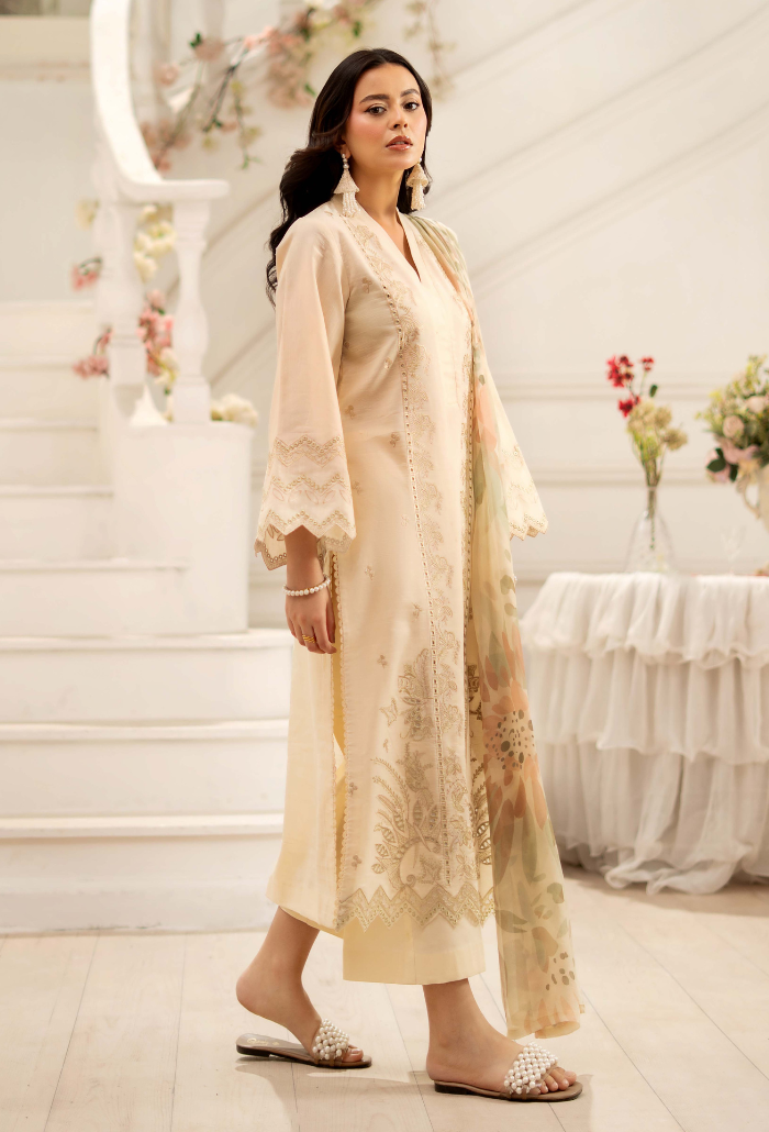 Inara-D02 Organza Pakistani Summer Dresses - Humdum - 2