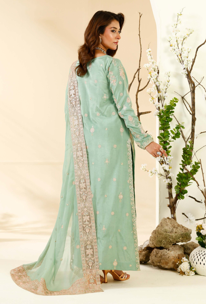Rabt - D06 Raw Silk Pakistani Formal Dresses - Humdum - 3