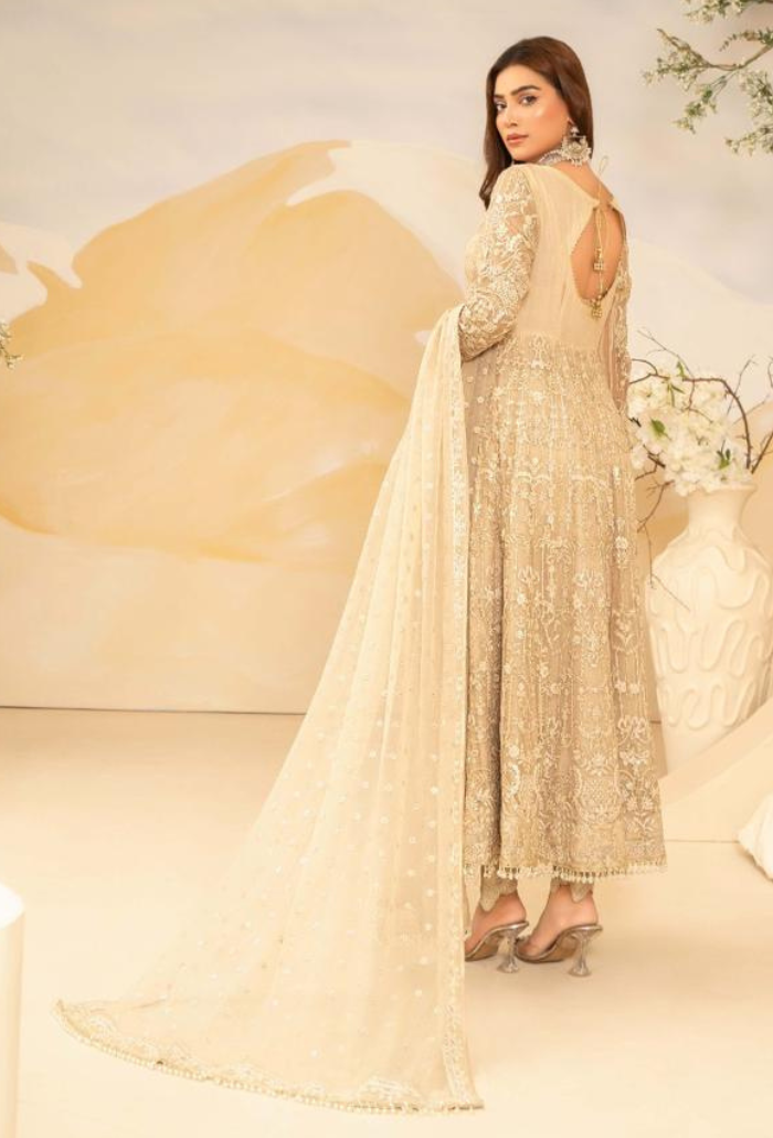HOC - D02 Raw Silk Pakistani Formal Dresses - Humdum - 2
