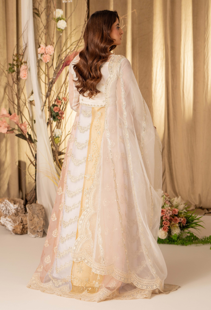HOC - D16 Raw Silk Pakistani Formal Dresses - Humdum - 2
