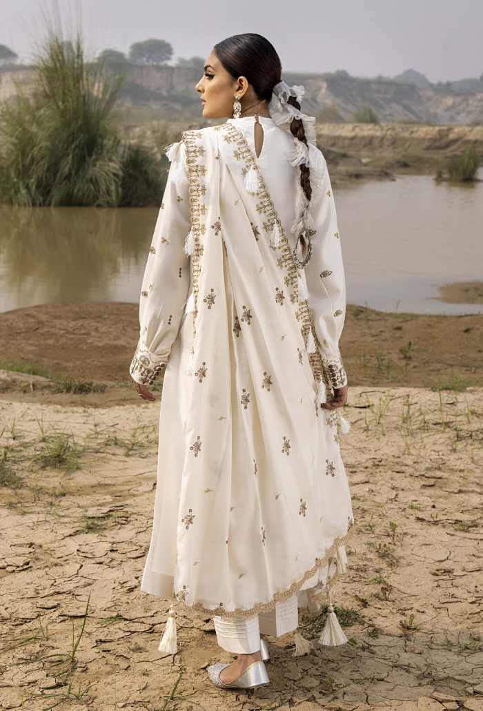 Sierra-D01 Premium Fabric Pakistani Winter Dresses - Humdum - 3