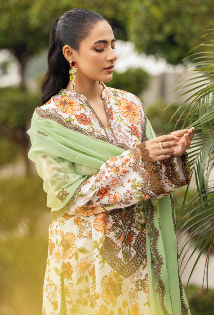 Diva - D10 Chiffon Pakistani Winter Dresses - Humdum - 2