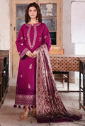 ONORA CHAPTER 2 - D07 Organza Pakistani Winter Dresses - Humdum - 1