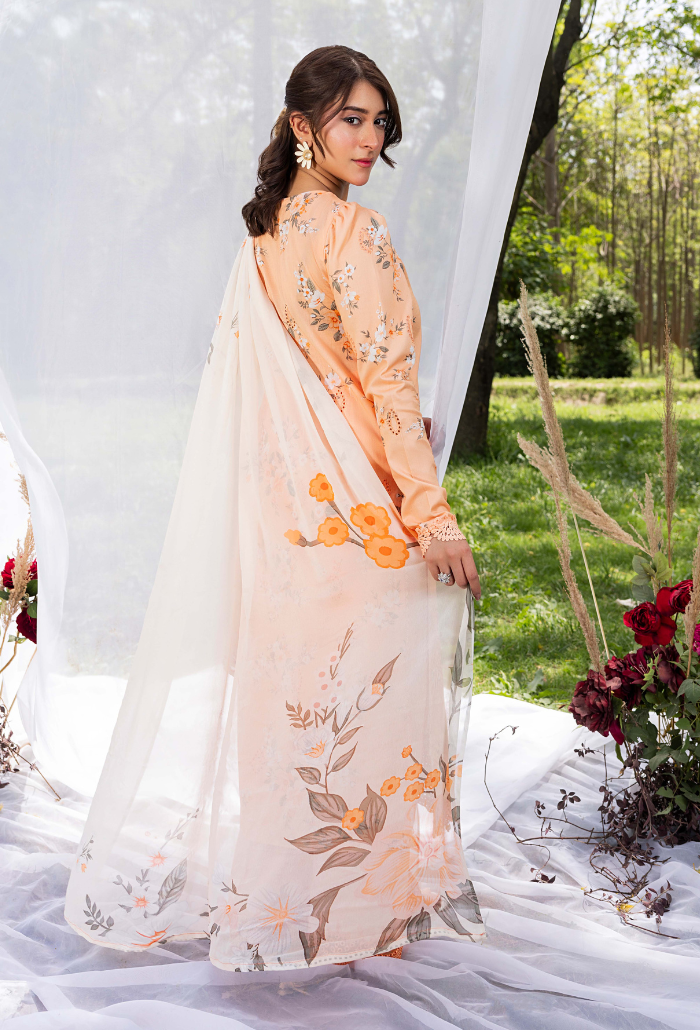 Koel-D02 Chiffon Pakistani Summer Dresses - Humdum - 2