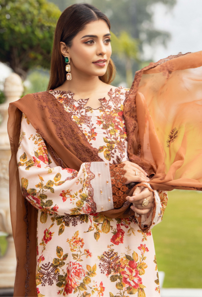 Diva - D06 Chiffon Pakistani Winter Dresses - Humdum - 3