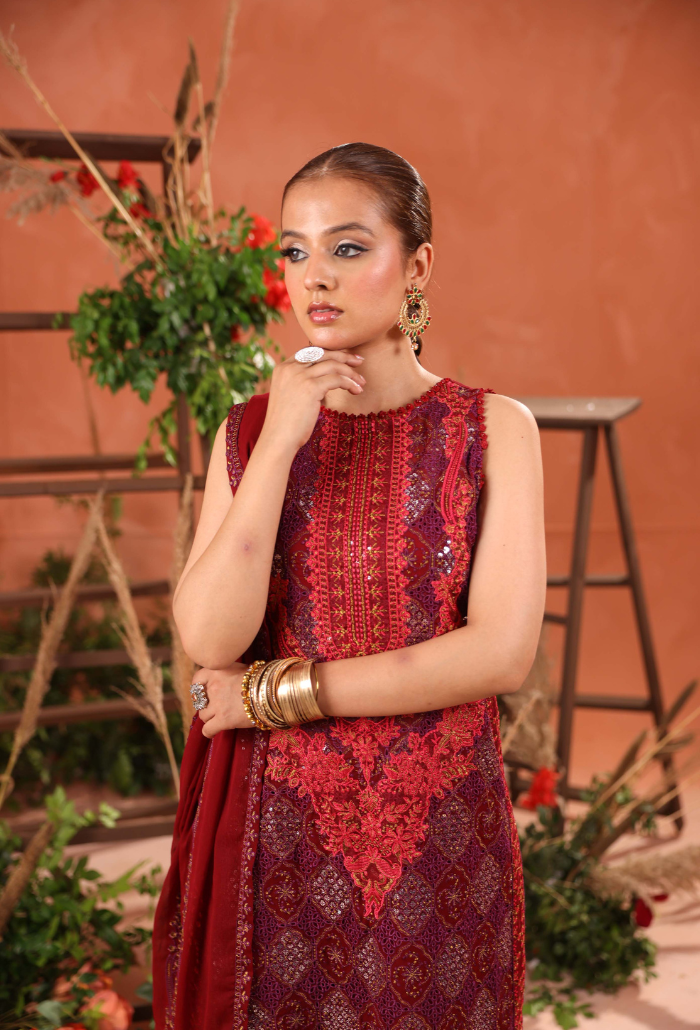 Heer-D01 Organza Pakistani Formal Dresses - Humdum - 4