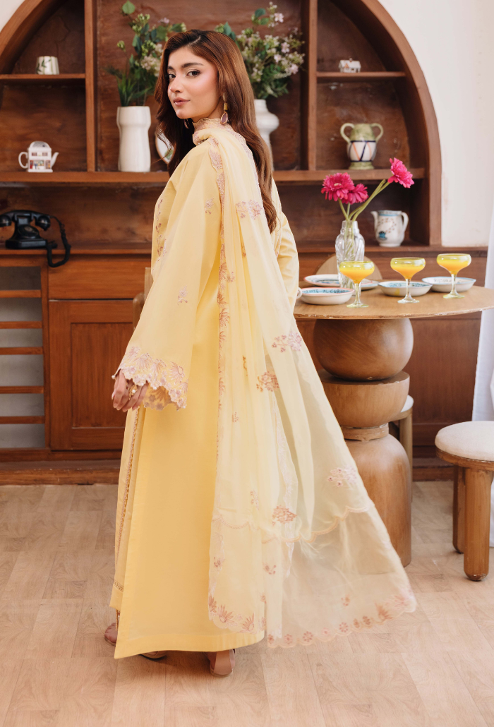 Mirha'2 - D03 Organza Pakistani Summer Dresses - Humdum - 2