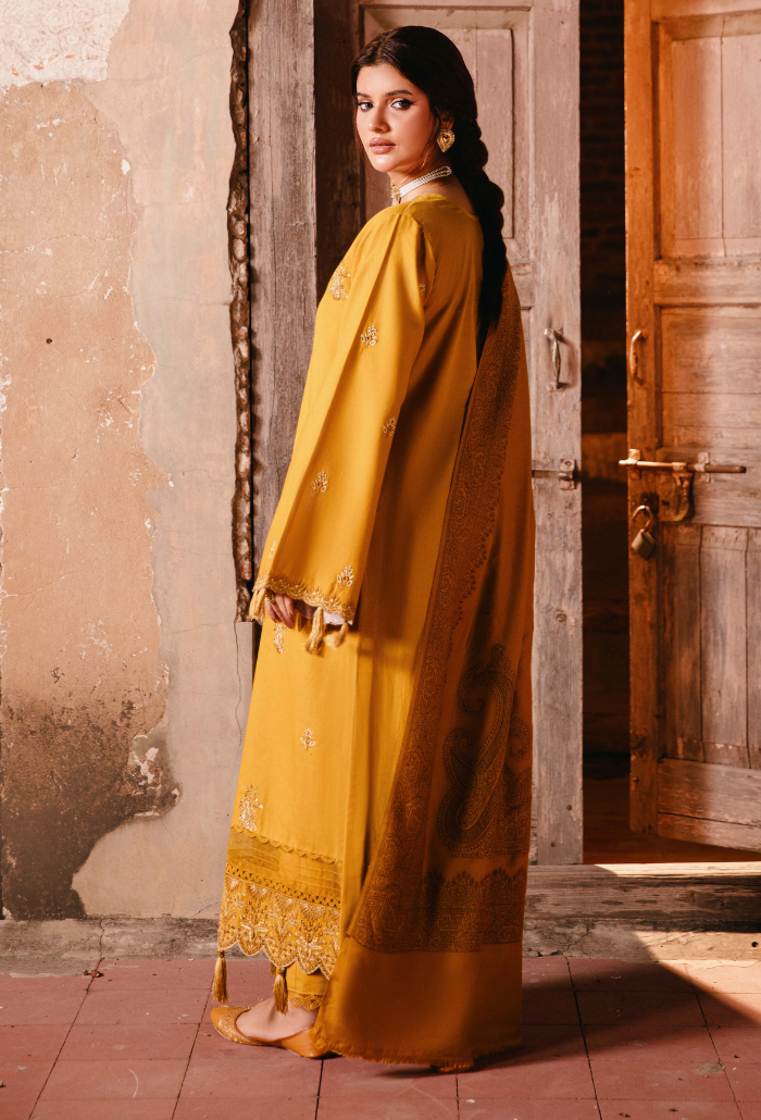 ONORA CHAPTER 2 - D04 Organza Pakistani Winter Dresses - Humdum - 2