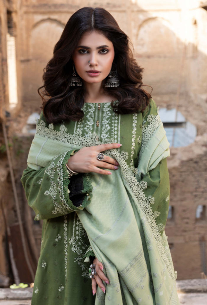 Khumar - D06 Organza Pakistani Winter Dresses - Humdum - 3