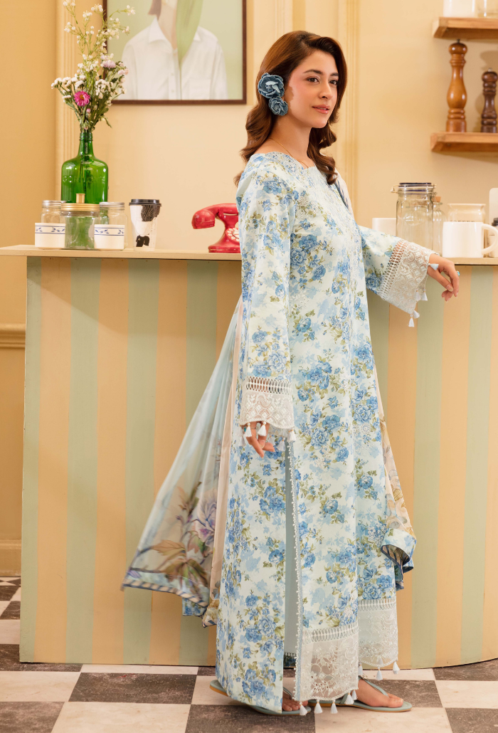 Senora'2 - D02 Organza Pakistani Summer Dresses - Humdum - 3