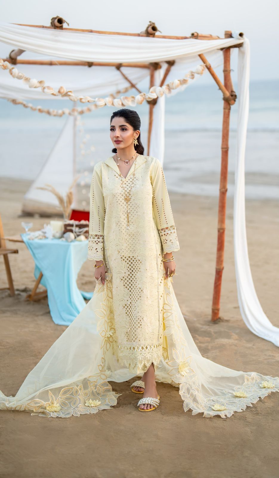 SOFINA (AS-07) Organza Pakistani Summer Dresses - aabyaan - 3