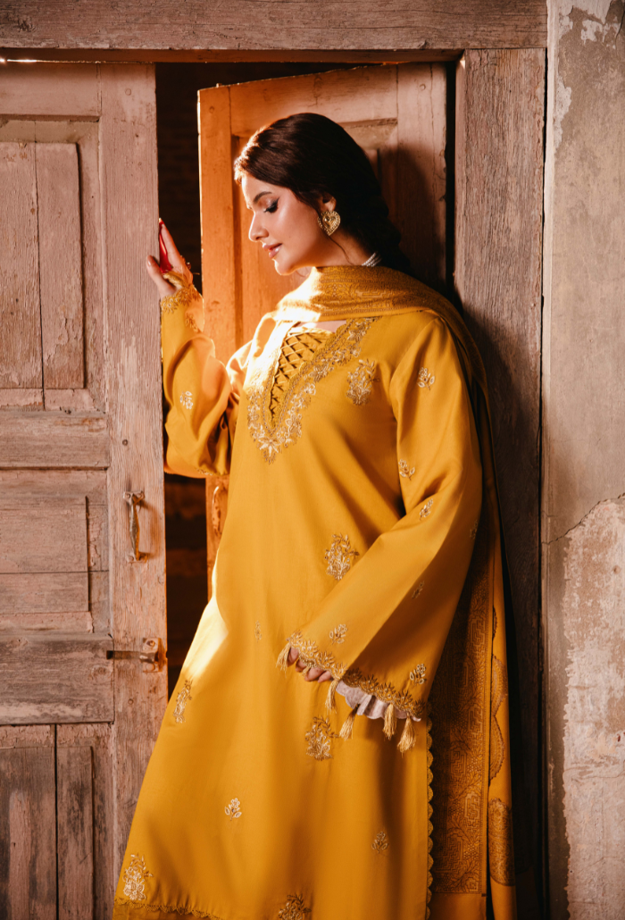 ONORA CHAPTER 2 - D04 Organza Pakistani Winter Dresses - Humdum - 3