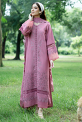 Zephyr - D04 Premium Fabric Pakistani Winter Dresses - Humdum - 1