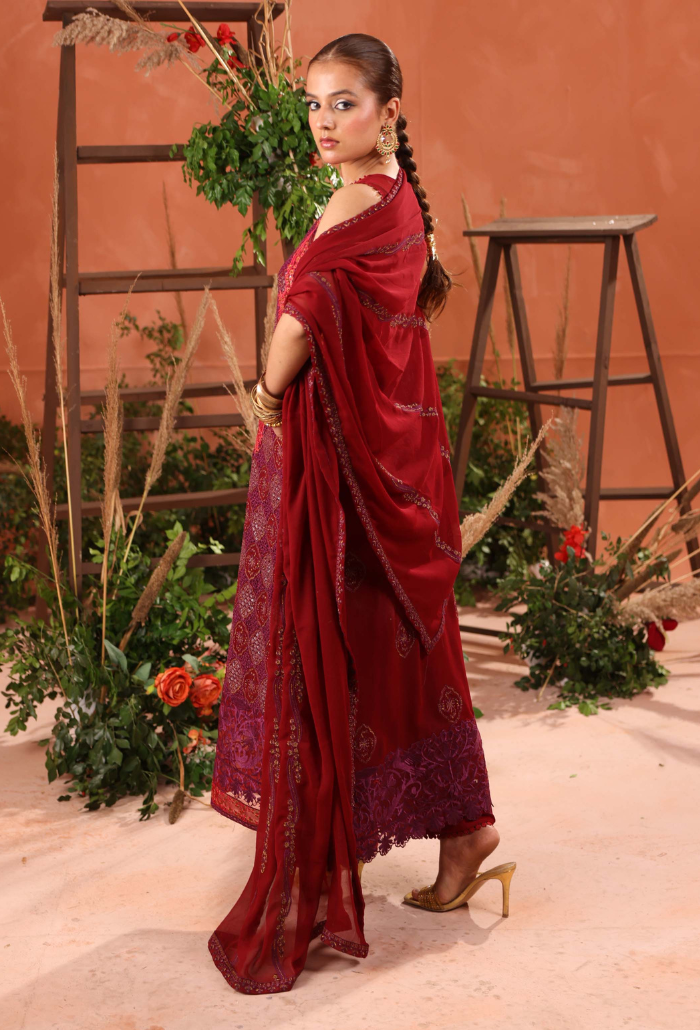 Heer-D01 Organza Pakistani Formal Dresses - Humdum - 3