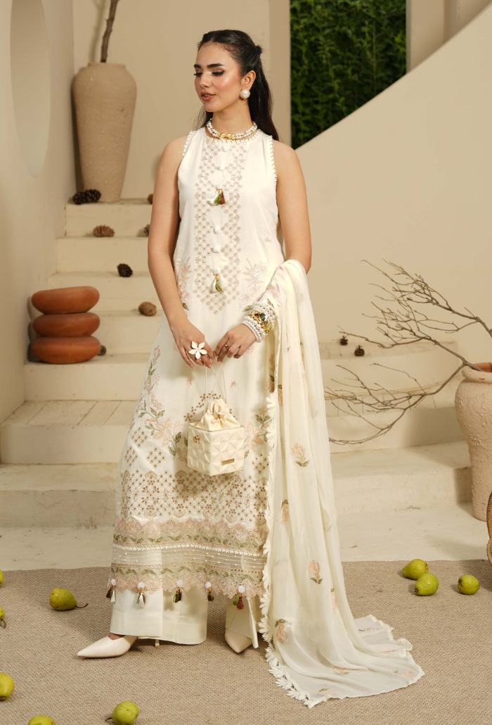 Mushak - D02 Chiffon Pakistani Winter Dresses - Humdum - 3