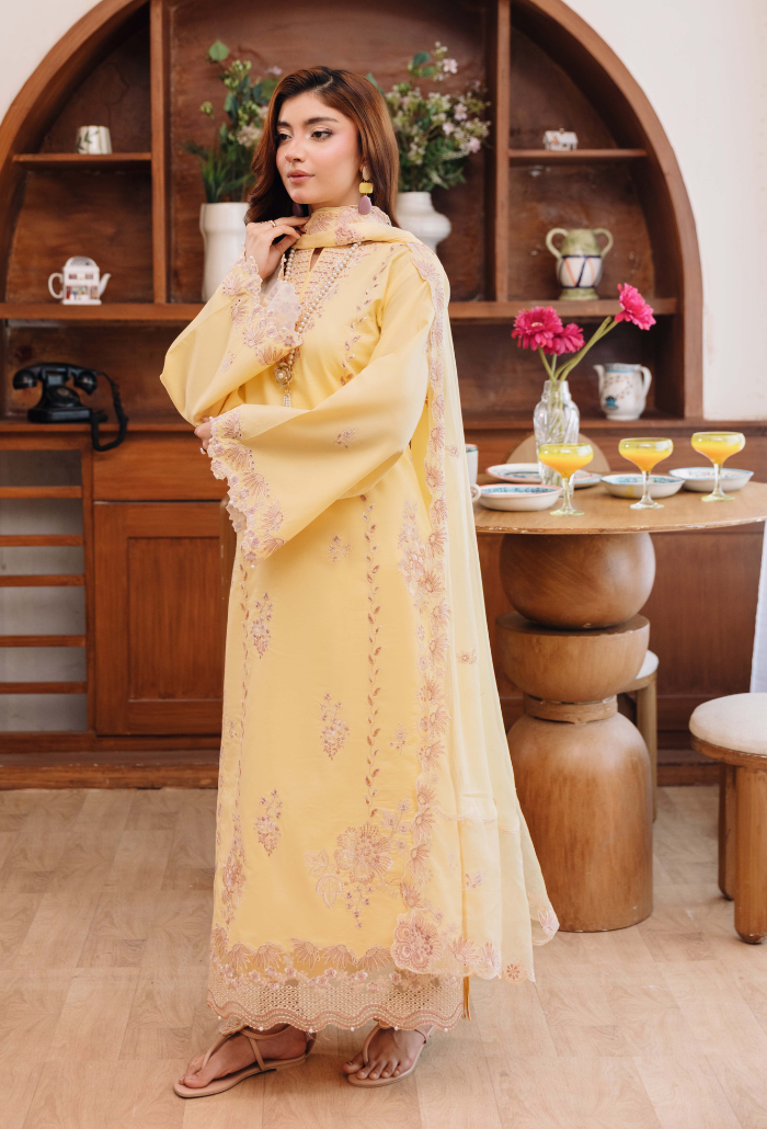 Mirha'2 - D03 Organza Pakistani Summer Dresses - Humdum - 3