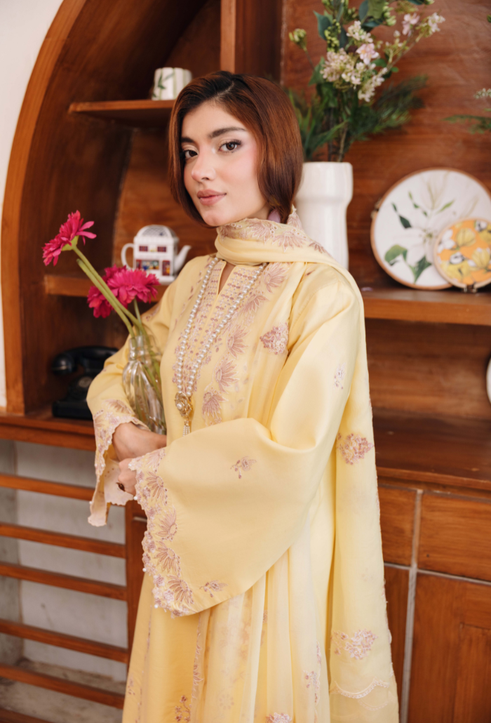 Mirha'2 - D03 Organza Pakistani Summer Dresses - Humdum - 4