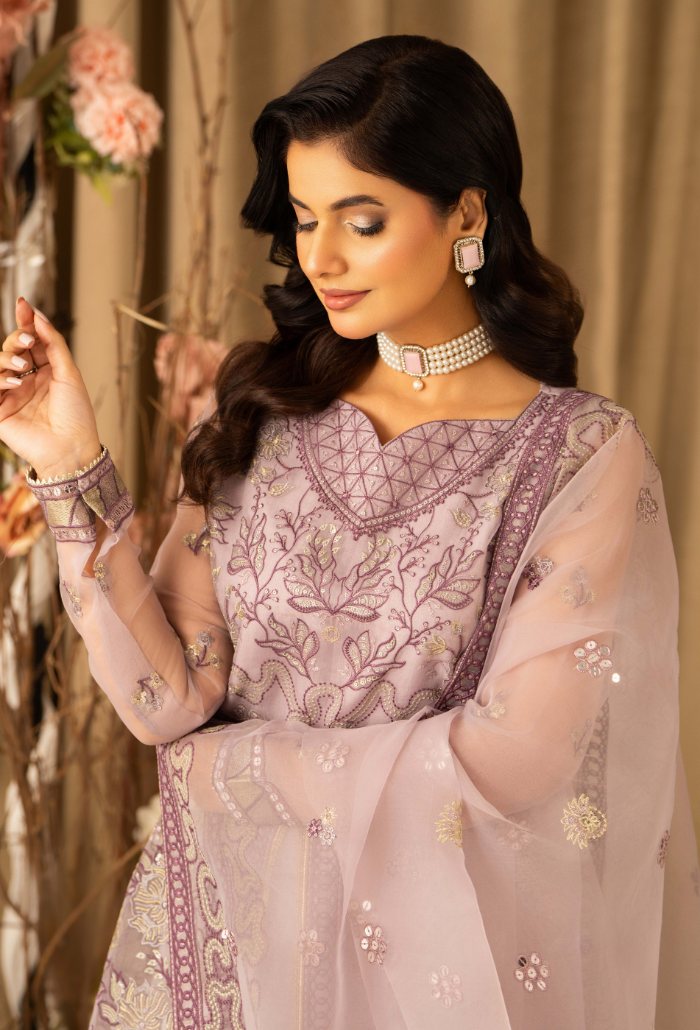 HOC - D14 Raw Silk Pakistani Formal Dresses - Humdum - 4
