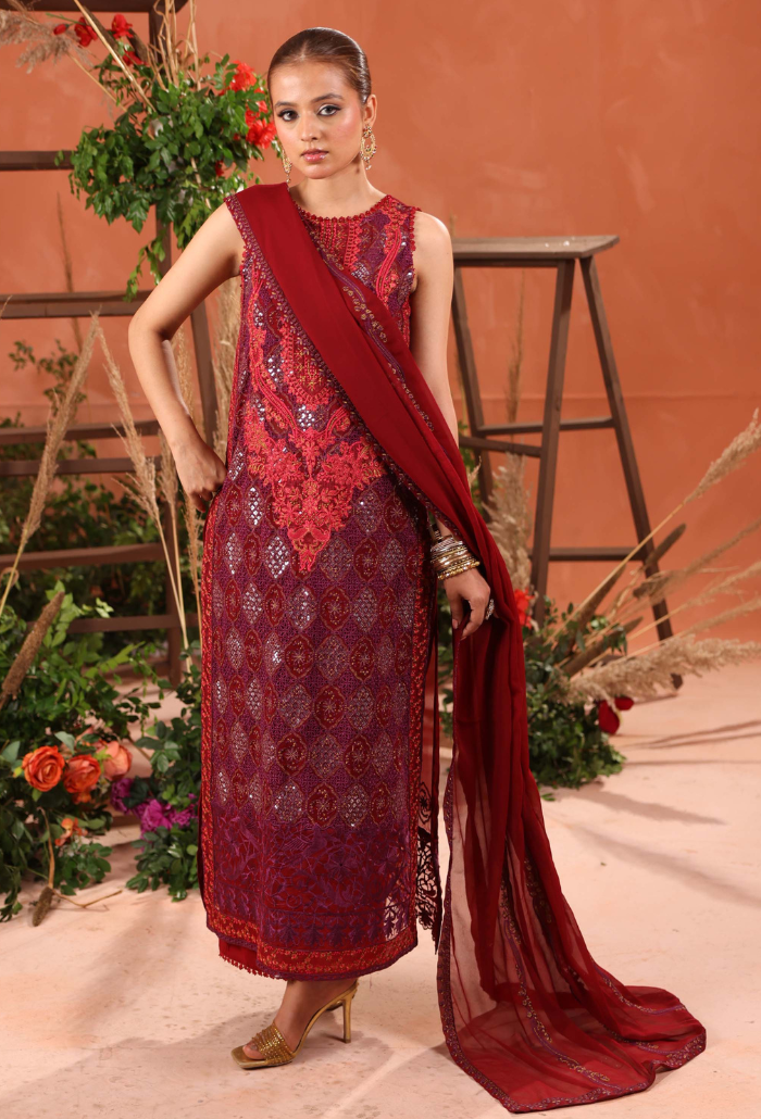 Heer-D01 Organza Pakistani Formal Dresses - Humdum - 2