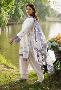 Summer Breeze - D03 Chiffon Pakistani Summer Dresses - Humdum - 1