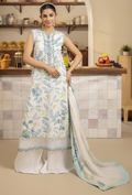Senora - D03 Chiffon Pakistani Summer Dresses - Humdum - 1