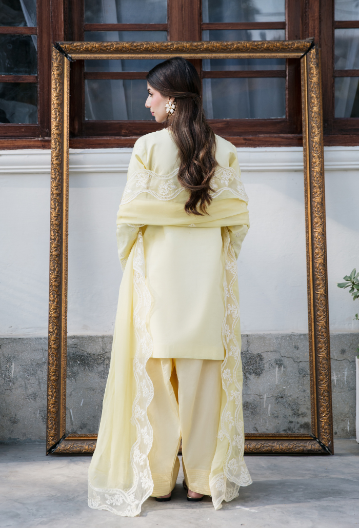 Meraki'2 - D02 Organza Pakistani Summer Dresses - Humdum - 2