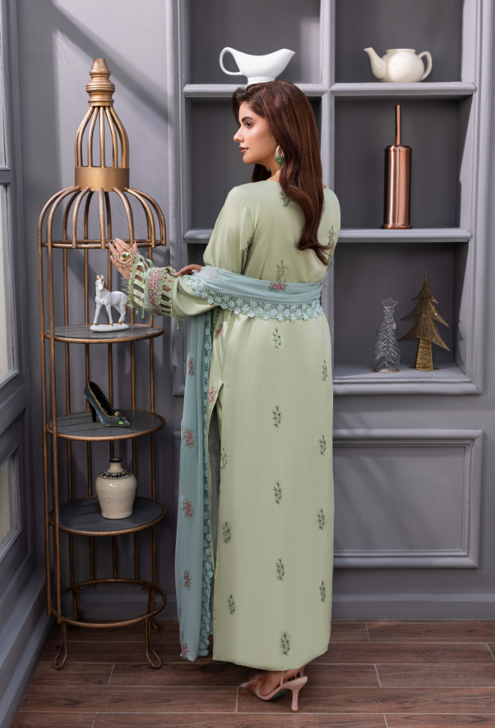 Fareeha - D06 Chiffon Pakistani Winter Dresses - Humdum - 3