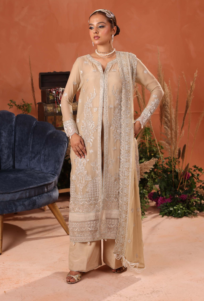 Heer-D02 Organza Pakistani Formal Dresses - Humdum - 2