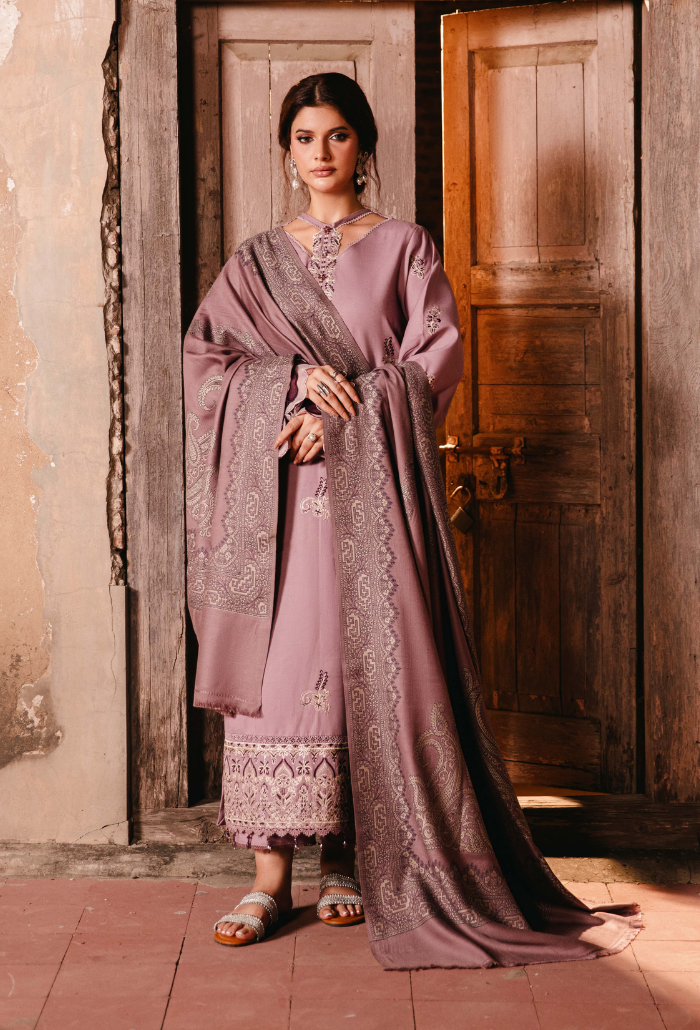 ONORA CHAPTER 2 - D10 Organza Pakistani Winter Dresses - Humdum - 2