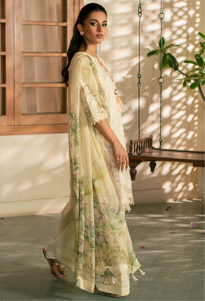 Mehrmaa - D01 Angoori Organza Pakistani Summer Dresses - Humdum - 2