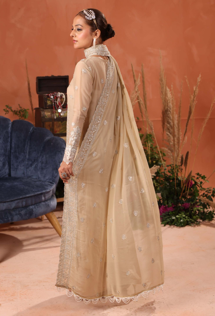 Heer-D02 Organza Pakistani Formal Dresses - Humdum - 3
