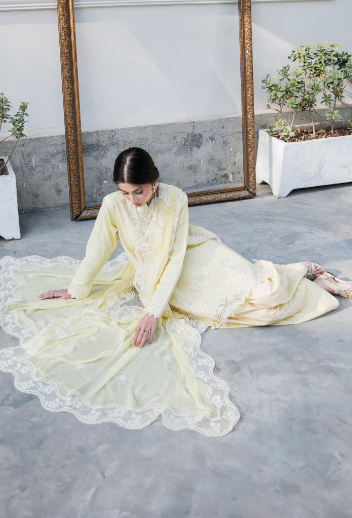 Meraki'2 - D02 Organza Pakistani Summer Dresses - Humdum - 4