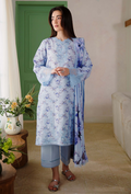 LAYLA - D09 Organza Pakistani Winter Dresses - Humdum - 1