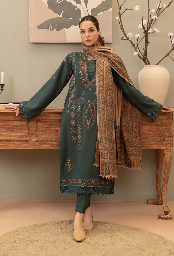 Carvan-D01 Premium Fabric Pakistani Winter Dresses - Humdum - 2
