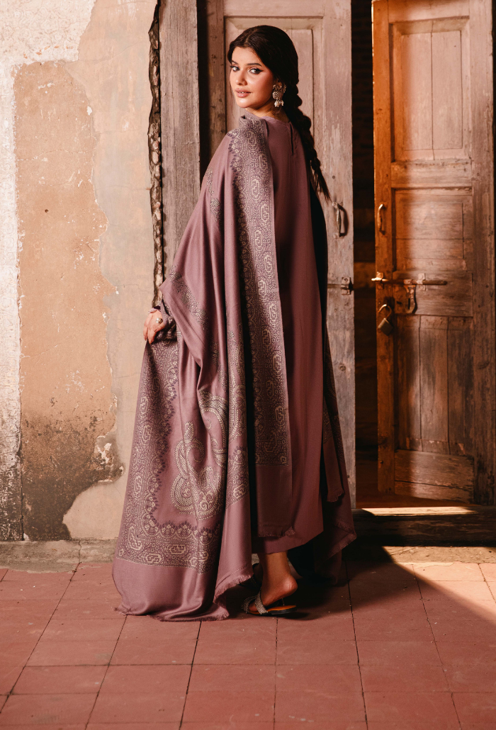 ONORA CHAPTER 2 - D10 Organza Pakistani Winter Dresses - Humdum - 3