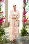 Blenche Organza Pakistani Summer Dresses