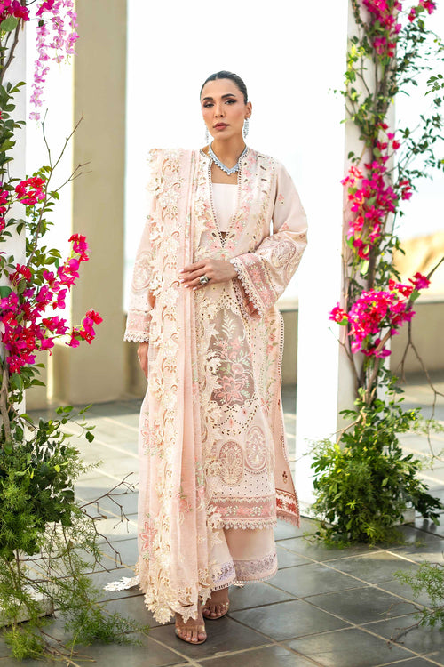 Blenche Organza Pakistani Summer Dresses