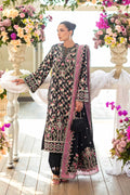 Midnora Organza Pakistani Summer Dresses