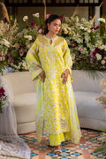 Surai Embroidered Pakistani Dress