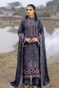 Sierra-D10 Premium Fabric Pakistani Winter Dresses - Humdum - 1