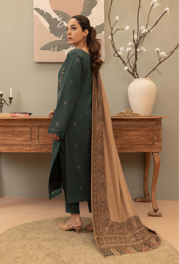 Carvan-D01 Premium Fabric Pakistani Winter Dresses - Humdum - 3