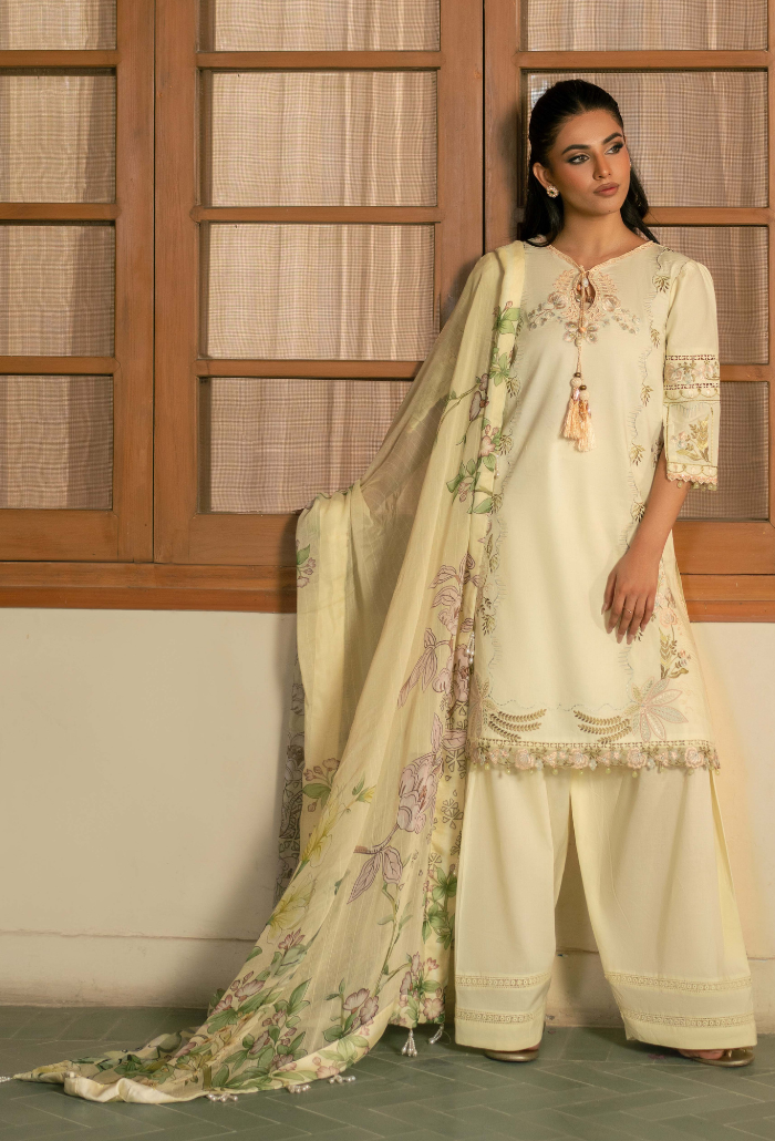 Mehrmaa - D01 Angoori Organza Pakistani Summer Dresses - Humdum - 3