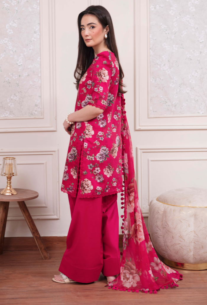 COCO - D05 Chiffon Pakistani Winter Dresses - Humdum - 2