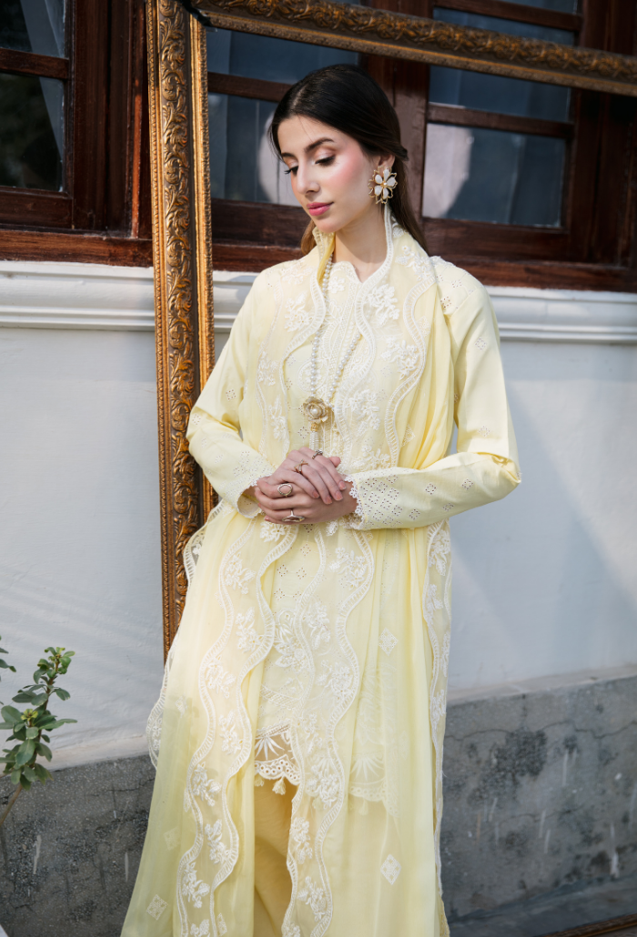 Meraki'2 - D02 Organza Pakistani Summer Dresses - Humdum - 3