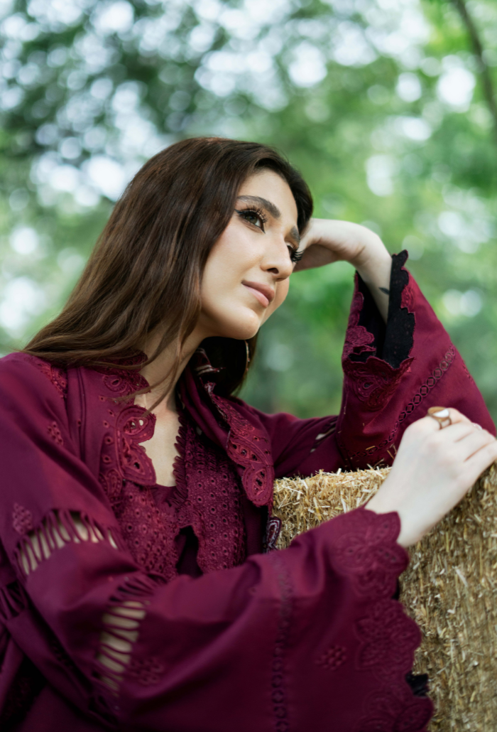 Zephyr - D01 Premium Fabric Pakistani Winter Dresses - Humdum - 4