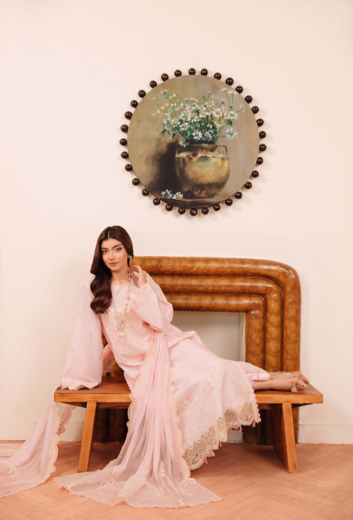 Mirha'2 - D02 Organza Pakistani Summer Dresses - Humdum - 4