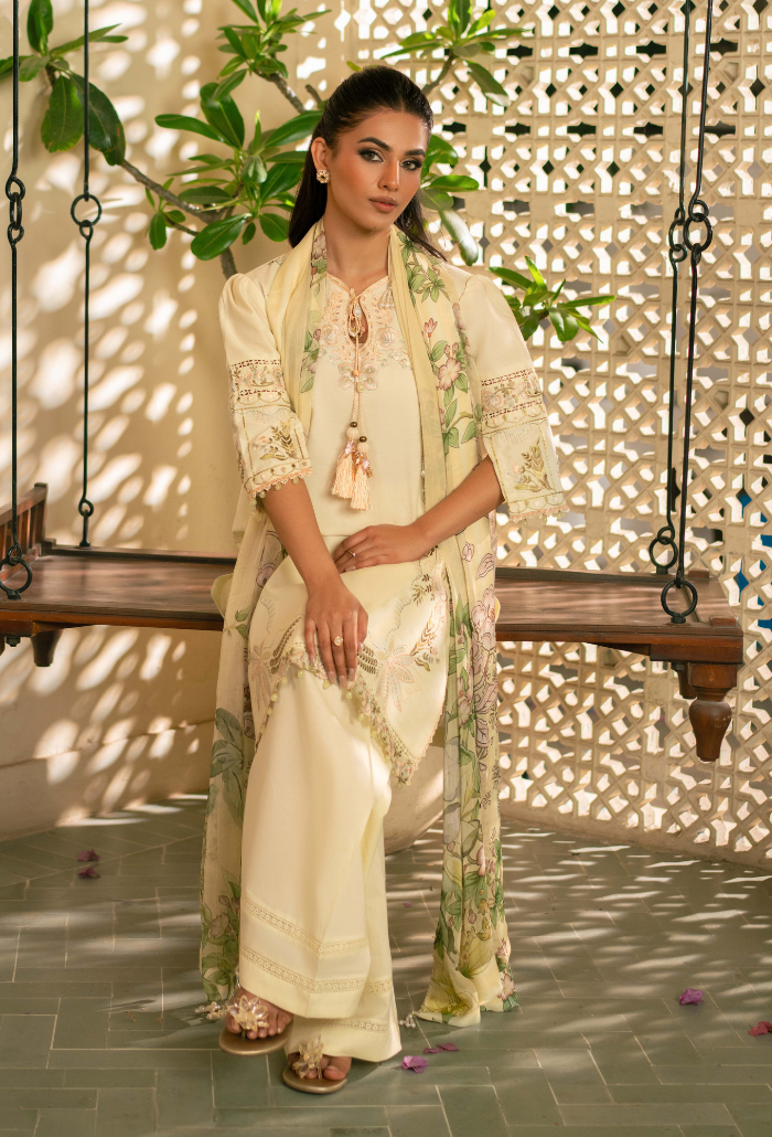 Mehrmaa - D01 Angoori Organza Pakistani Summer Dresses - Humdum - 4