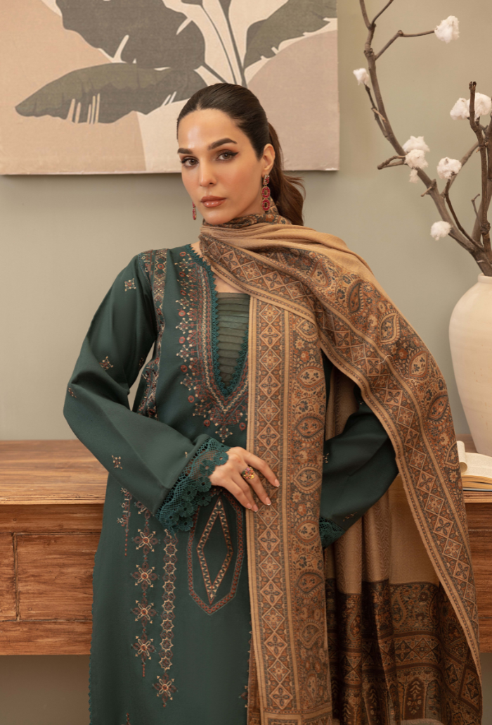 Carvan-D01 Premium Fabric Pakistani Winter Dresses - Humdum - 4